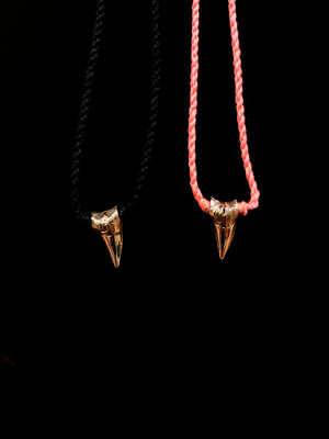 Gold Shark Tooth Tassel Necklace