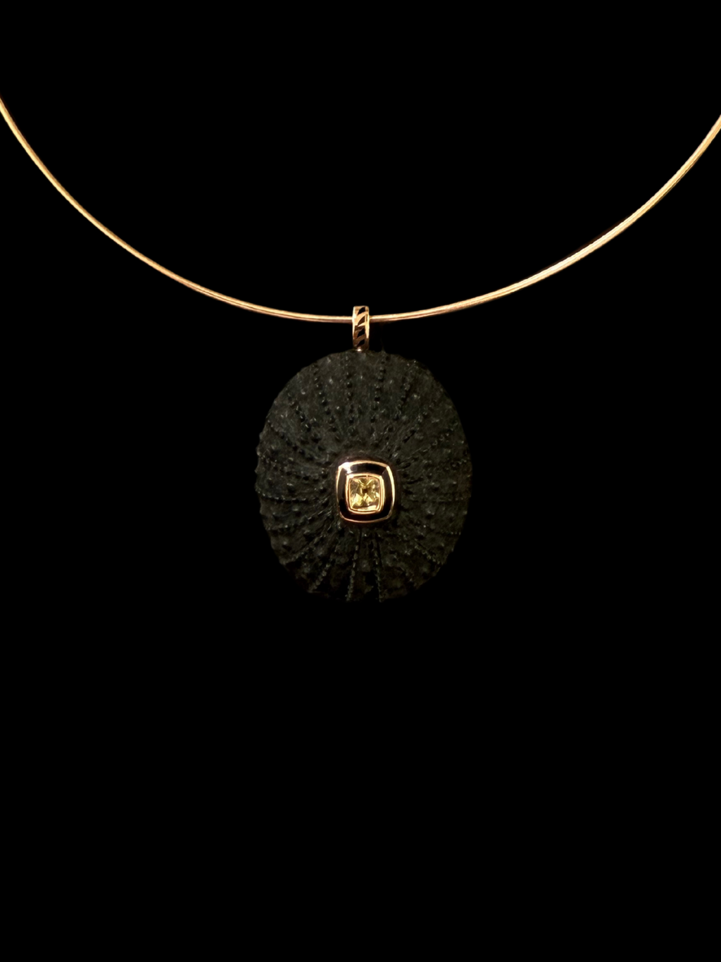 Grande Ebony Sea Urchin with Beryl