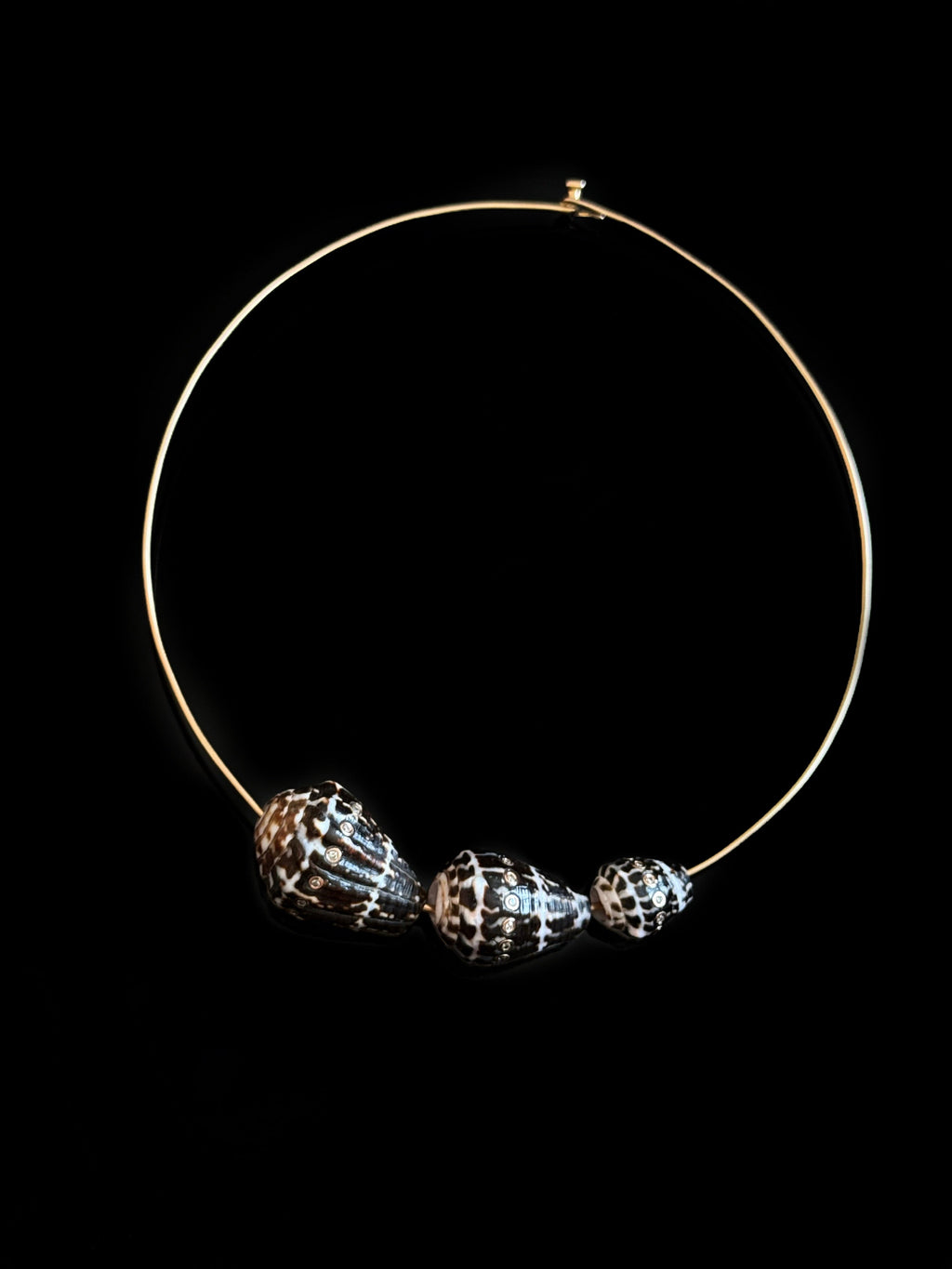 Conus Shell with Brilliant Diamonds