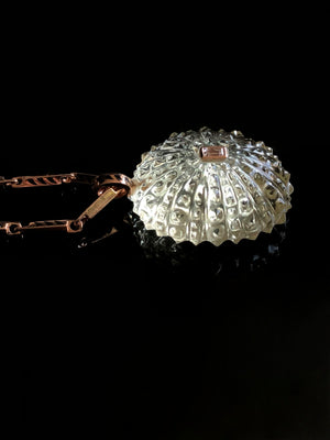 Carved Urchin with Diamond