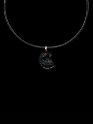 Carved Nautilus