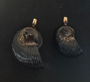 Carved Nautilus