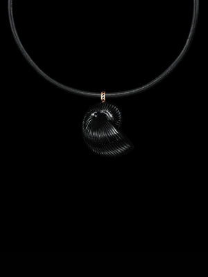Carved Nautilus