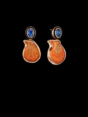 Palm Beach Clam Kyanite Earrings