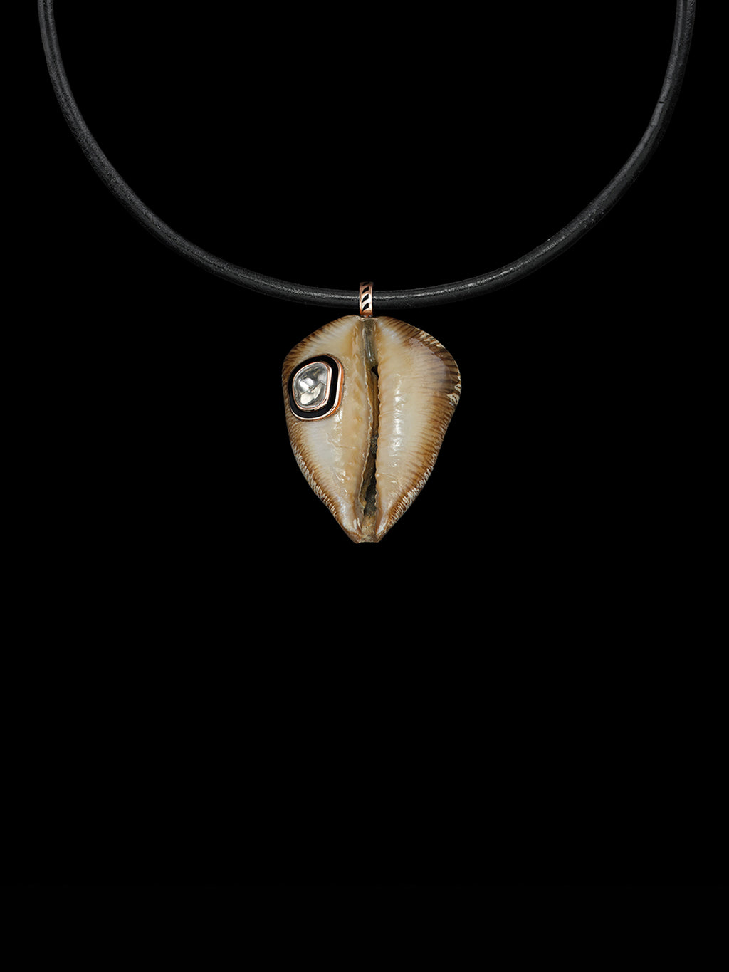 Brown Fossilized Cowry with Polki Diamond