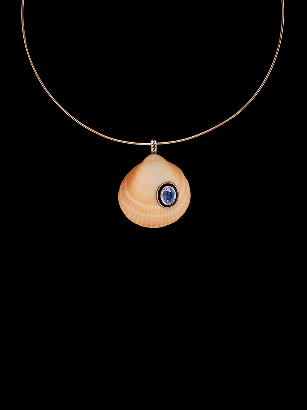 Anadara Shell with Sapphire