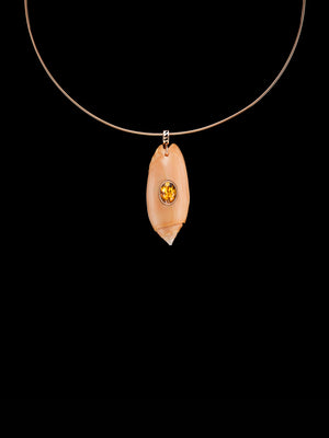 Oliva Shell with Scappolite