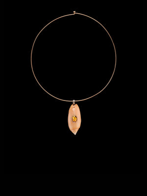 Oliva Shell with Scappolite