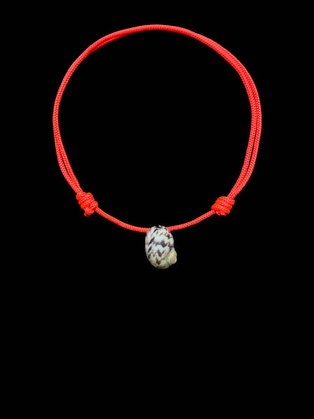 natural_shell_orange_cord_2_gr