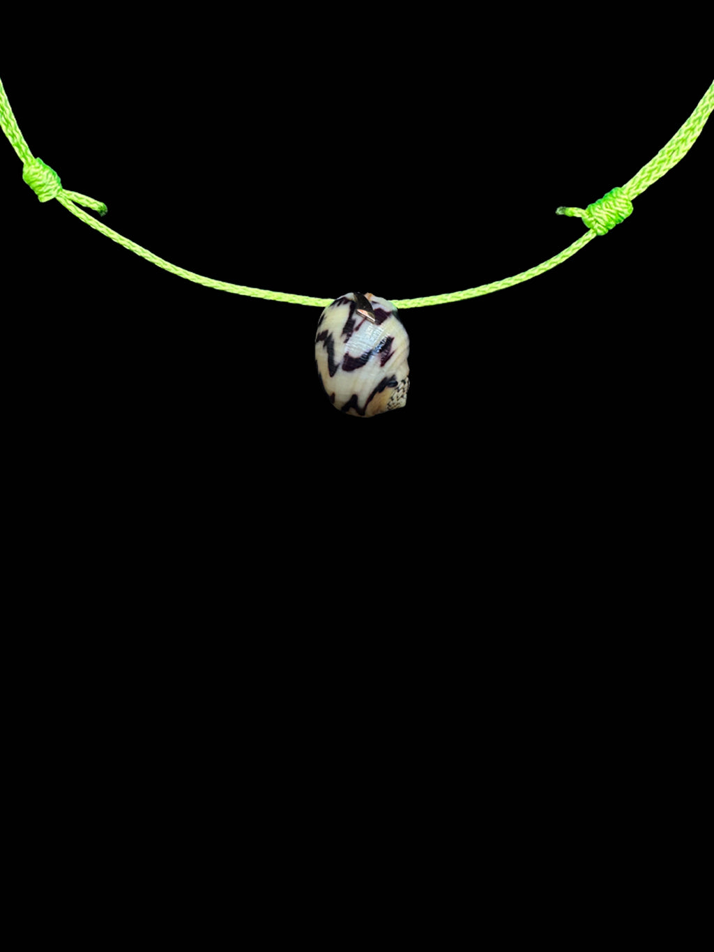 Turbo Shell Surf Cord Necklace