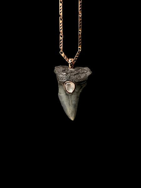 Fossil Shark Tooth with Polki Diamond