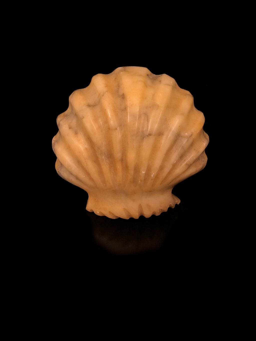 Carved Marble Shell