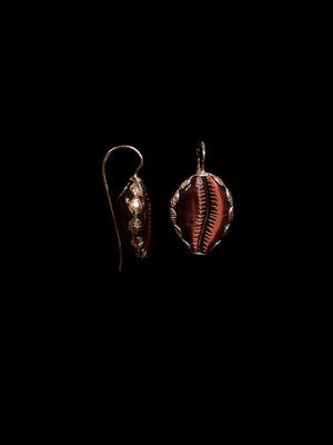 Classic Carved Cowry Anadara Set Earring