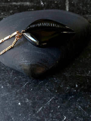 Grande Carved Cowry